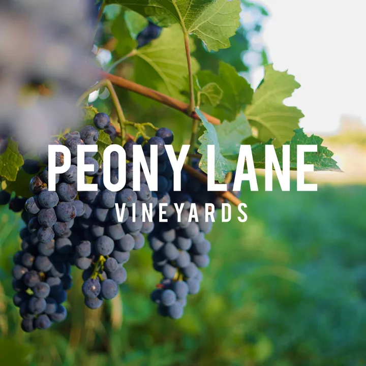 Peony Lane Wine showcase